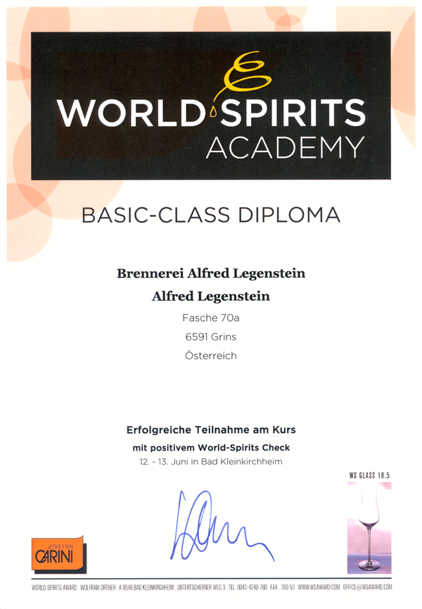 Diplom World Spirit Academy